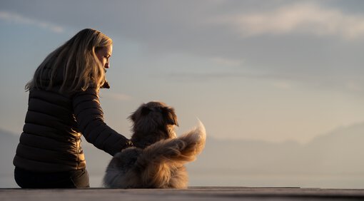 Durch gewaltfreie konsequente Hundeerziehung wird in der Hundeschule Zamperlschickeria in Traunstein bei professionellem Hundetraining der Grundstein für eine respektvolle Mensch-Hund-Beziehung gelegt.