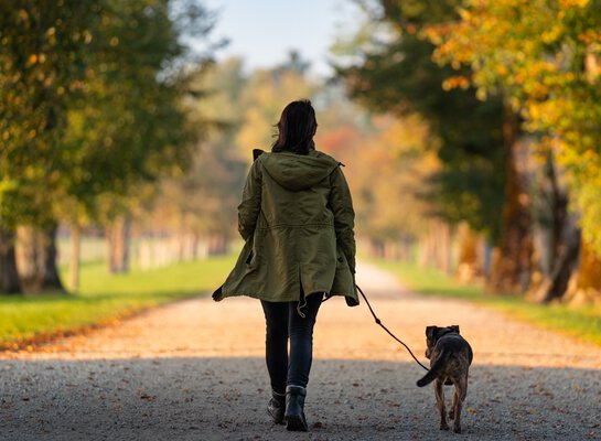 Hundeknigge mehr Respekt und ein friedliches Miteinander | © Zamperlschickeria