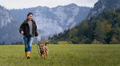 Der Hundeknigge empfiehlt, wenn ein Hund angeleint möchte der Halter keinen Kontakt | © Zamperlschickeria